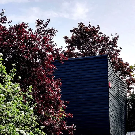 Black timber house extension surrounded by trees with a diverse leaf colour palette under a pale blue sky.